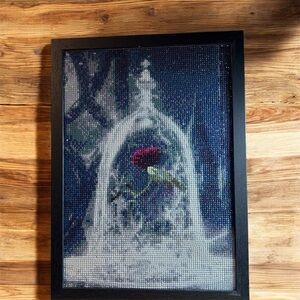 Diamond Painting  Finished & Framed 10x14in